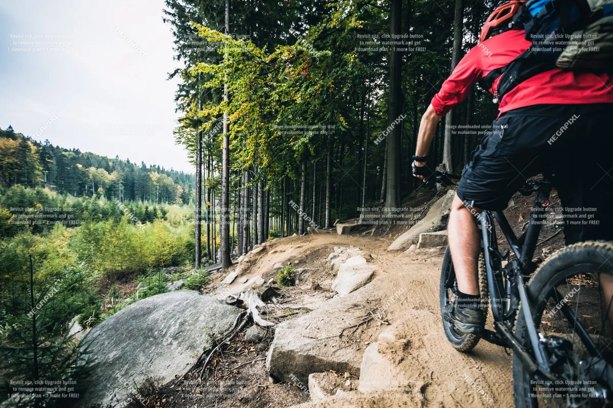 A mountain biker rides along a rocky forest path with dense trees and distant hills, capturing the spirit of outdoor adventure and summer recreation in the area.